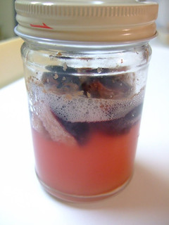 A picture of A Summer/Fall Starter: Kyohō Grape Yeast.