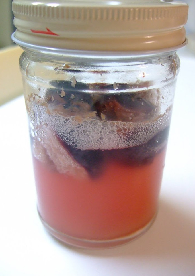 A picture of A Summer/Fall Starter: Kyohō Grape Yeast.
