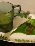 Rajwadi Paan mojito shots