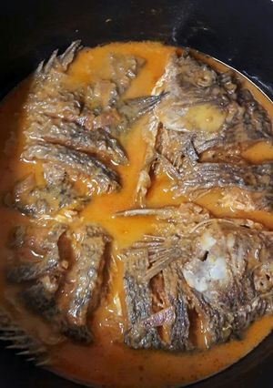 A picture of Fish Stew with Coconut milk.