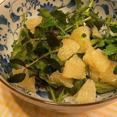 A picture of Watercress and Grapefruit Salad.