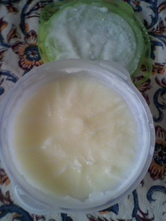 A picture of Easy Delicious Yogurt Ice Cream.