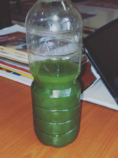 A picture of Green smoothie.