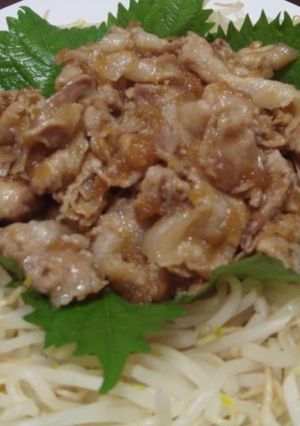 A picture of Pan-Fried Ginger Pork Belly Slices.