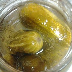 A picture of Fermented Dill Pickles.