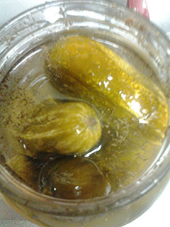 A picture of Fermented Dill Pickles.