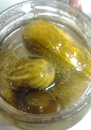 A picture of Fermented Dill Pickles.