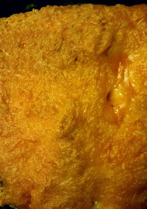 A picture of Southwest Chicken and Rice Casserole.
