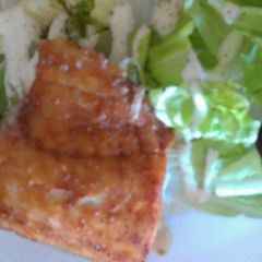 A picture of Alaskan pollock fillet..