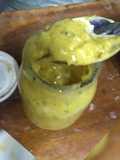 Salsa onion