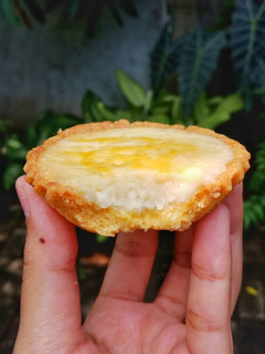 Foto resep Baked Cheese Tart