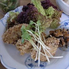 A picture of Standard Microbiotic Kurumabu Cutlet.