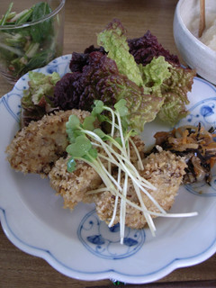 A picture of Standard Microbiotic Kurumabu Cutlet.