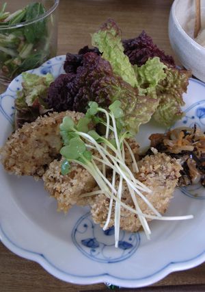A picture of Standard Microbiotic Kurumabu Cutlet.