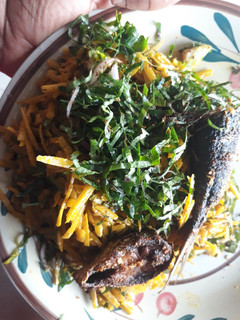A picture of Abacha.