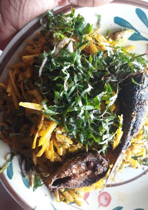 A picture of Abacha.