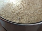 A picture of premix flour
