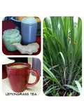 Lemongrass Tea