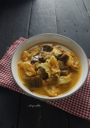 Foto resep Lodeh Terong Kubis