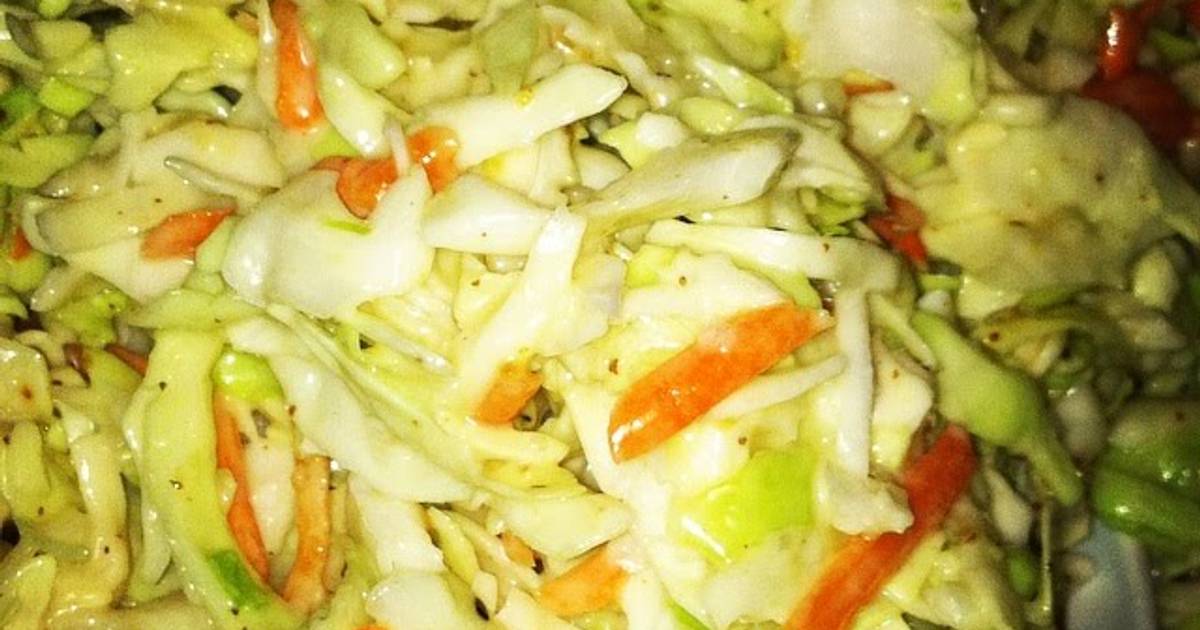 Honey vinegar coleslaw recipes easy & tasty ideas for home cooking