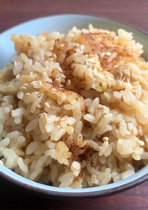 A picture of ‘Abura-age’ (Fried Thin Tofu) Soy Sauce Rice.