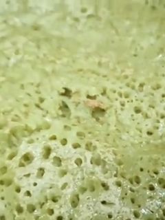 முடக்கறுத்தான் தோசை (Mudakkaruthaan dosai recipe in tamil) செய்முறை முக்கிய புகைப்படம்