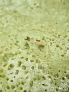 முடக்கறுத்தான் தோசை (Mudakkaruthaan dosai recipe in tamil) செய்முறை முக்கிய புகைப்படம்