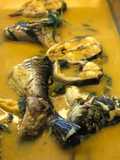 Patin Tempoyak 🦈