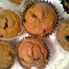 A picture of pumpkin chocolate chip muffins.