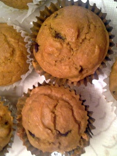 A picture of pumpkin chocolate chip muffins.