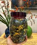 Rong Biển Rắc Cơm Vị Phô Mai