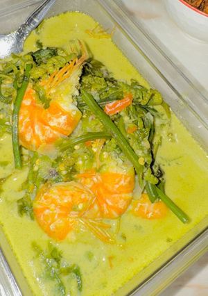 Foto resep Sayur pakis lemak