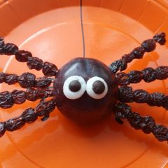A picture of Vickys Fruity Halloween Spiders GF DF EF SF NF.