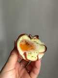 Protein Bites