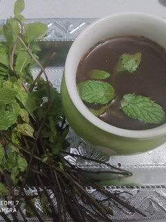 ફુદીના નો ઉકાળો(phudino ukalo recipe in Gujarati) રેસીપી મુખ્ય ફોટો