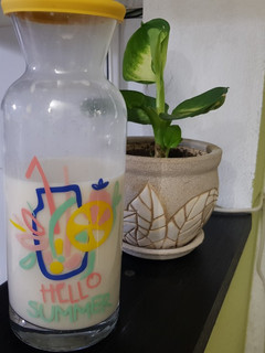Una foto de Leche de avena y coco