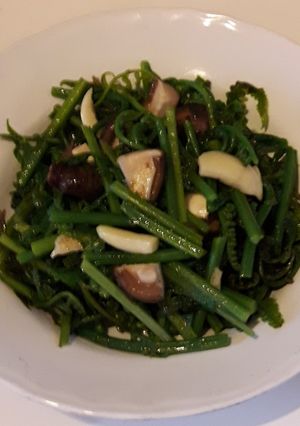 A picture of Fried Paco Fern (Thai Style).