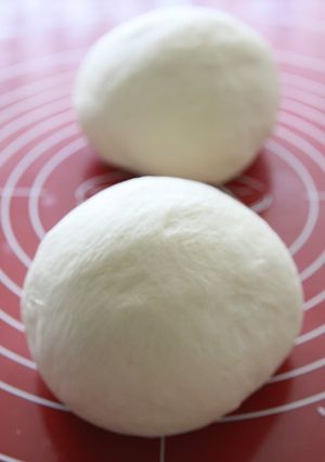 A picture of Moist and Chewy! Rice Flour Bread Dough.