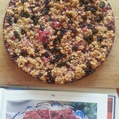 A picture of Norwegian Lingonberry Pie w/streusel topping.