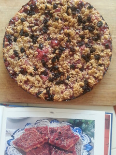 A picture of Norwegian Lingonberry Pie w/streusel topping.