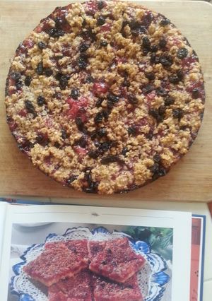 A picture of Norwegian Lingonberry Pie w/streusel topping.