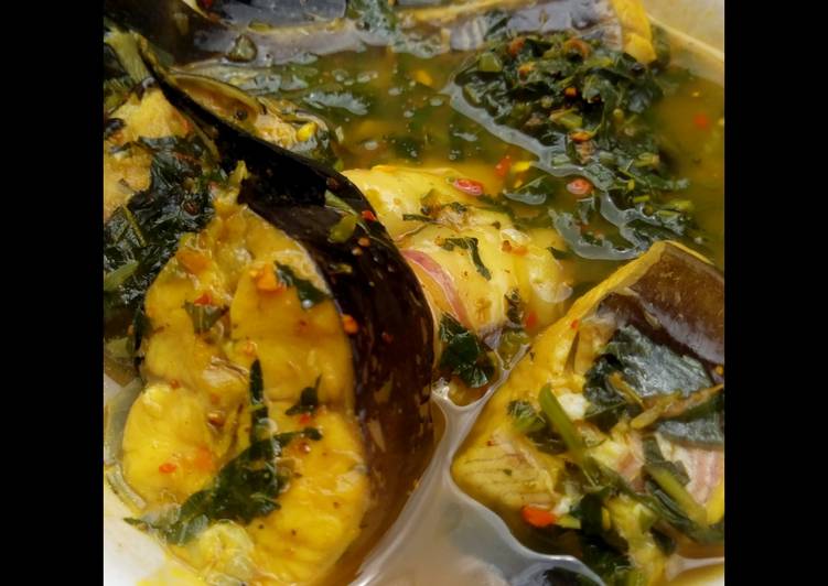 Recipe of Ultimate Cat fish pepper soup
