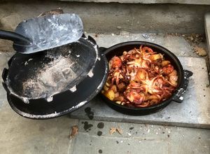 Foto di Peka di polpo o anche polpo sotto la campana