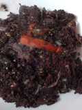Moronga, Morcilla o Rellena