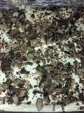 Candy Bar Cake