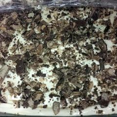 A picture of Candy Bar Cake.