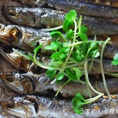 A picture of Dried Sardines Grilled with Oil.