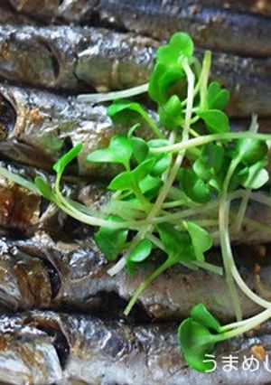 A picture of Dried Sardines Grilled with Oil.