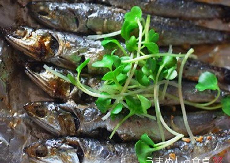 Dried Sardines Grilled with Oil
