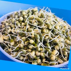 A picture of Whosayna’s Sprouted Beans.